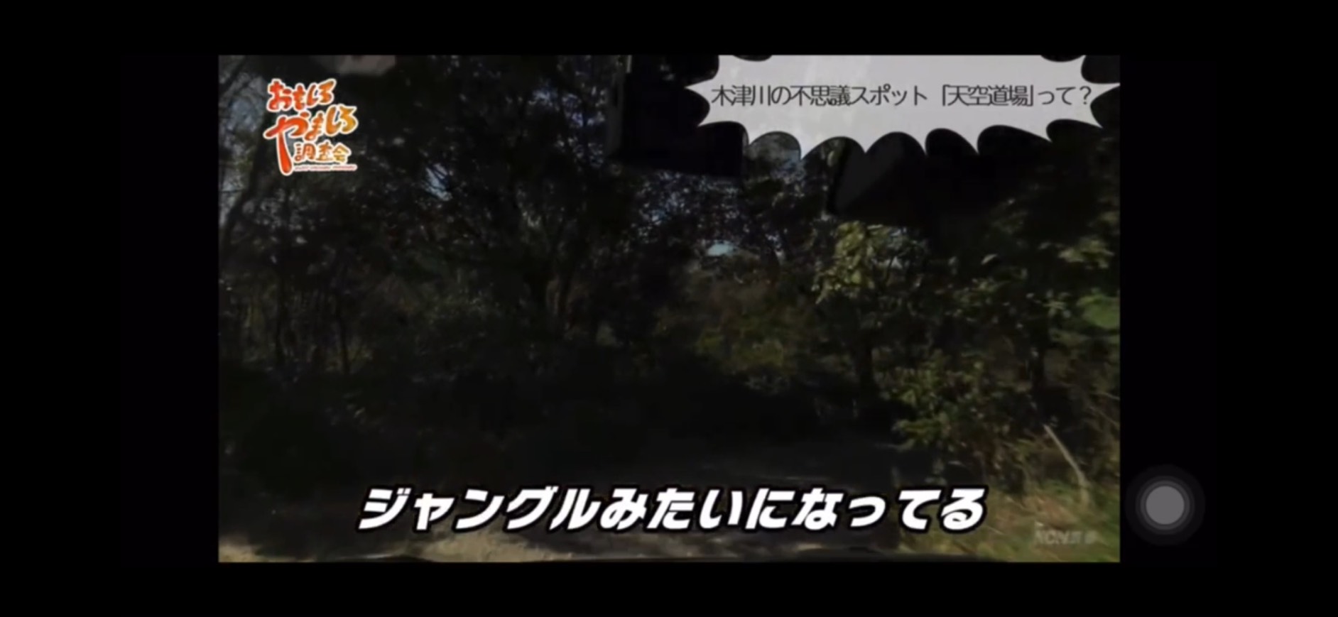 ジャングルのアプローチ