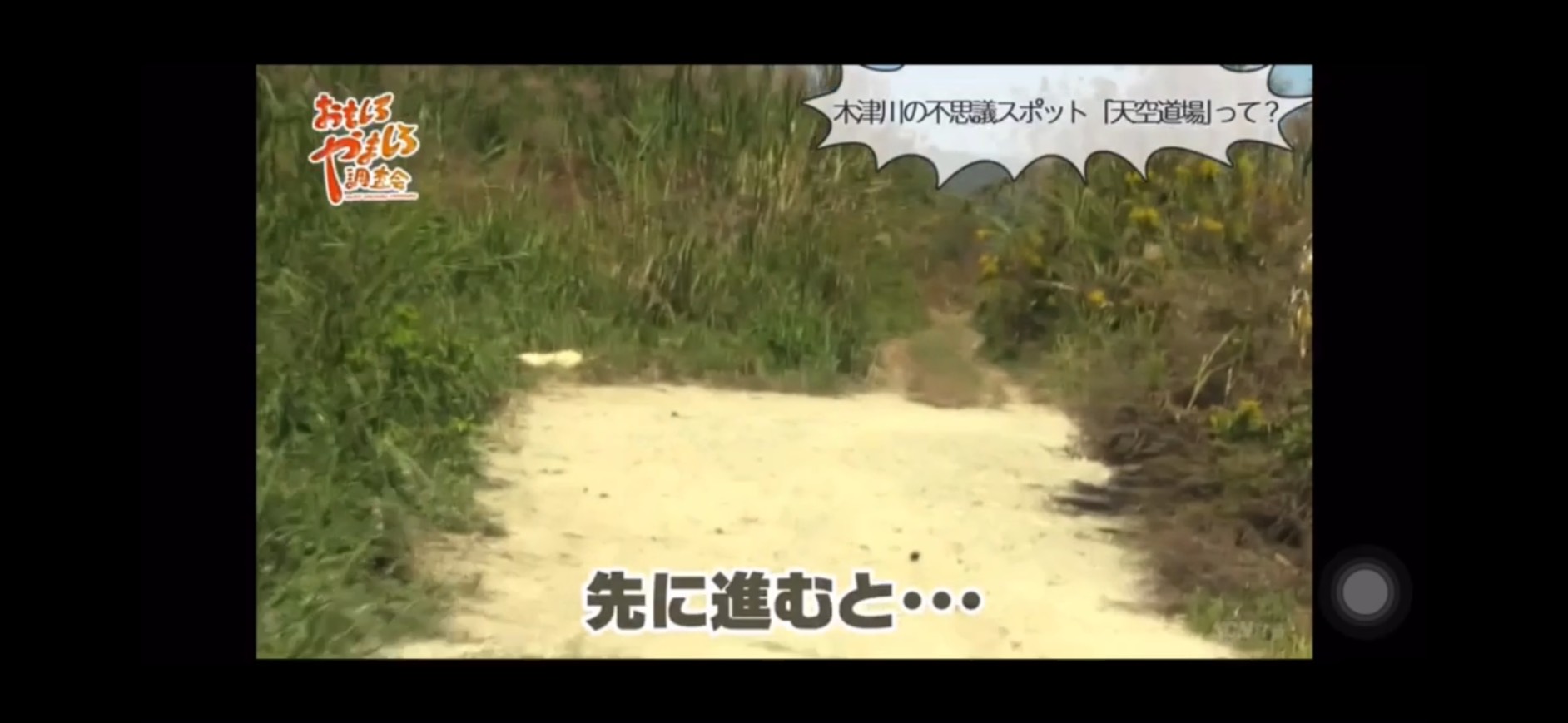 ジャングルのアプローチ